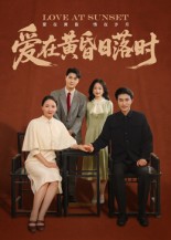 爱在黄昏日落时封面图